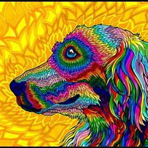 Meet your Posher, Stacy