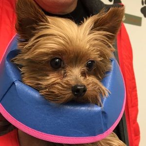 Moving sale-no reasonable offer refused!