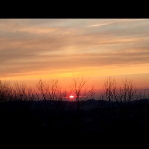 Meet your Posher, Ann