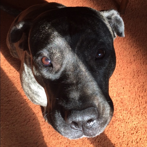 Meet your Posher, Bre