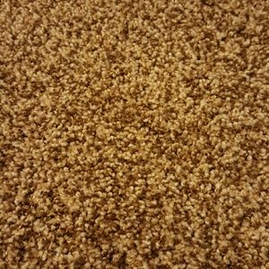 Meet your Posher, Brittney