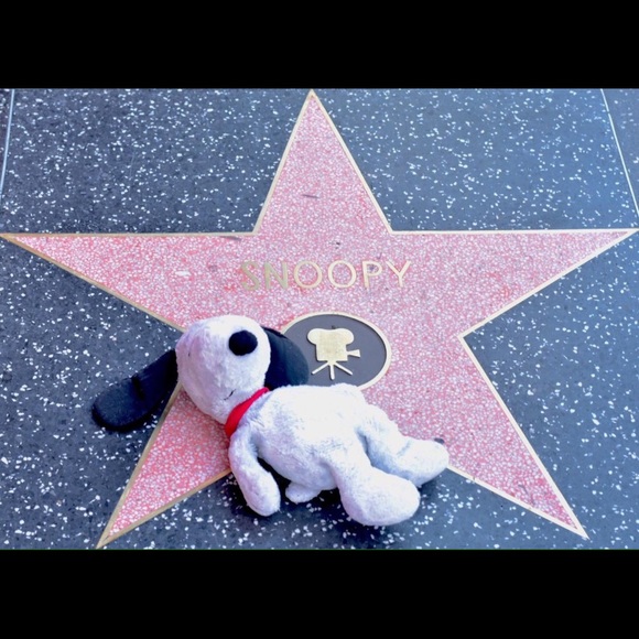 Hello, my name is Nichole. Let's make some deals. - Picture 4 of 5