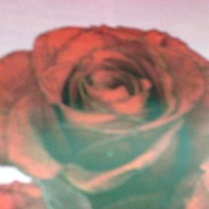 Meet your Posher, Mariela