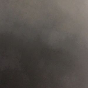 Meet your Posher, Jillian