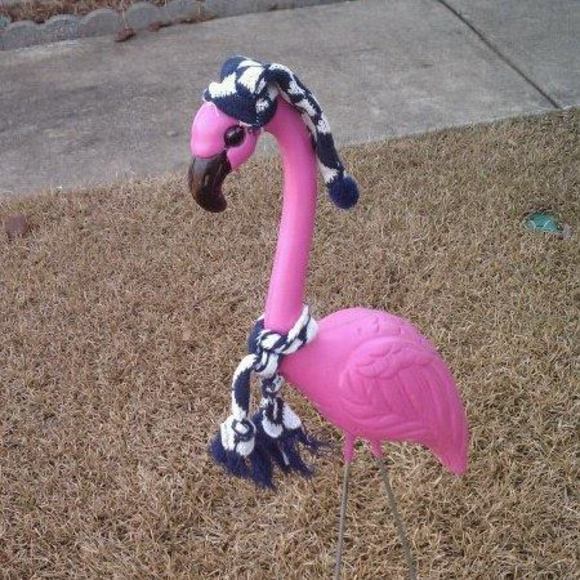 Meet your Posher, Jackie - Picture 1 of 1