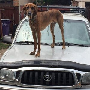 Meet your Posher, Laura