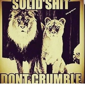 Meet your Posher, Nina