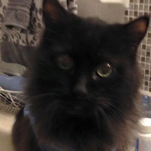 Meet your Posher, Jackie