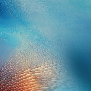 Meet your Posher, Jae