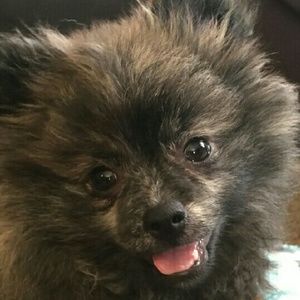 Meet your Posher, Cassandra