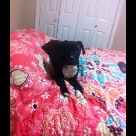 Meet your Posher, Michelle - Picture 1 of 1