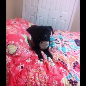 Meet your Posher, Michelle