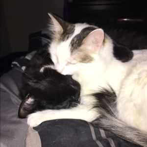 Meet your Posher, Carly