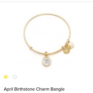 NEW Alex and Ani birthstone bracelet