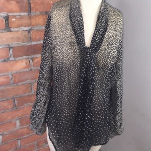 Sheer Silk Polka Dot Blouse