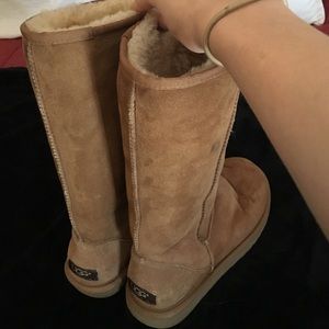 Tall tan UGGS