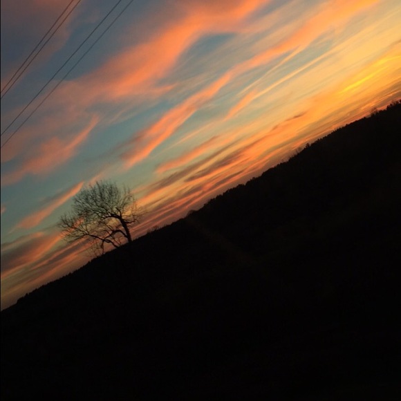 Meet your Posher, Allie