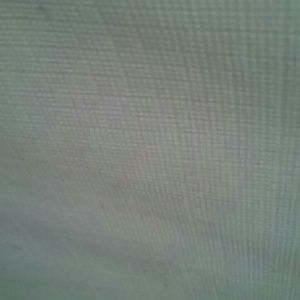 Meet your Posher, Channey