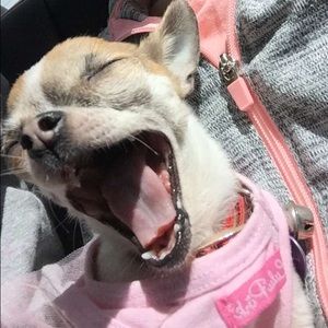 Meet your Posher, Demi