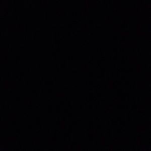 Meet your Posher, Tony