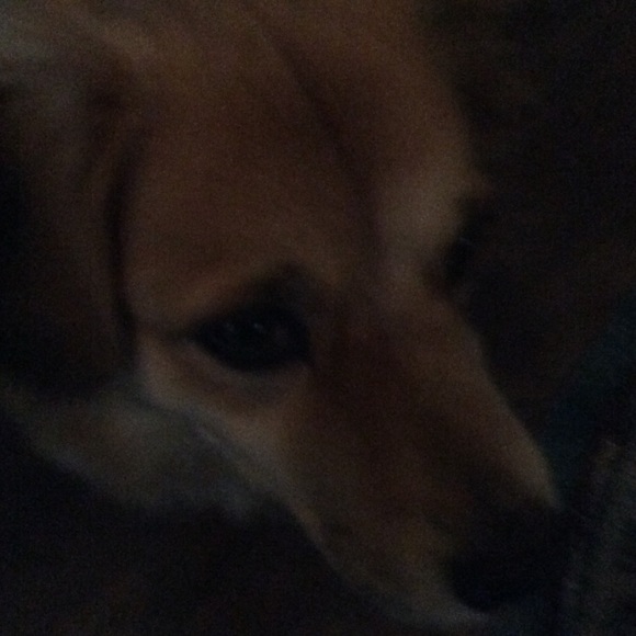 Meet your Posher, Laura - Picture 2 of 2