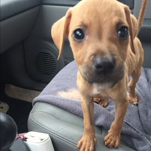 Meet your Posher, Leandra