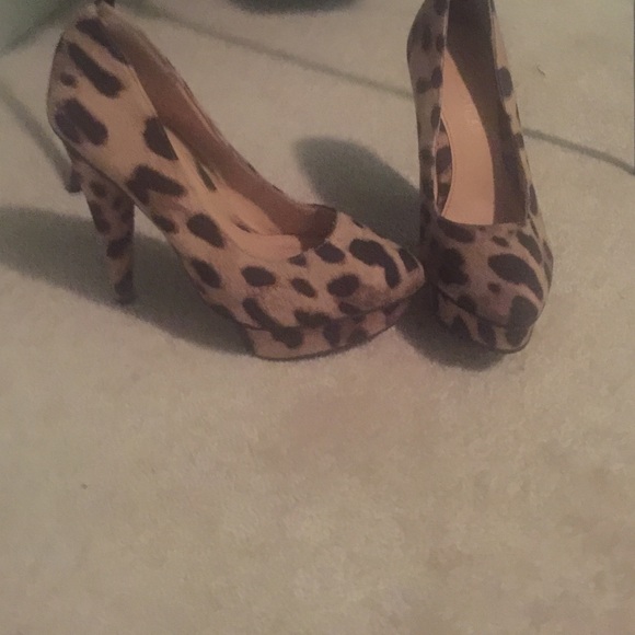 Collin Stuart - Picture 2 of 4