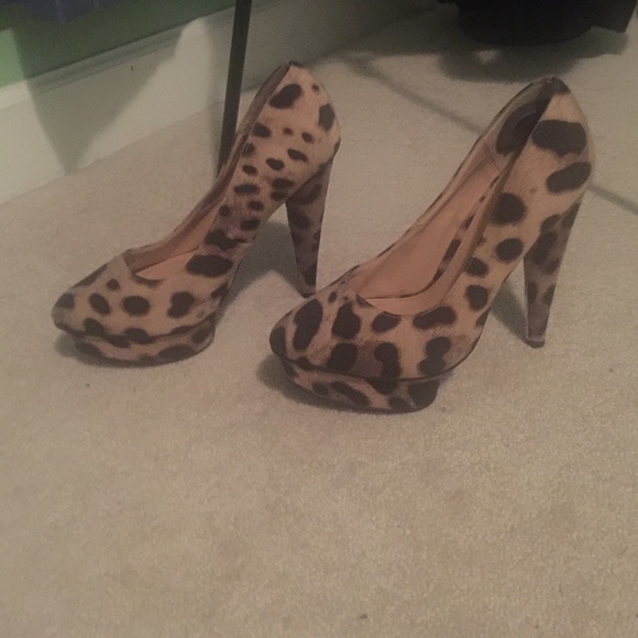 Collin Stuart - Picture 4 of 4