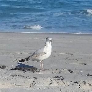 Meet your Posher, Melissa turner