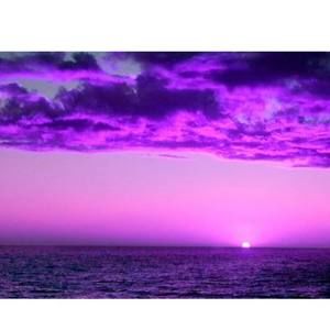 Meet your Posher, Lynda