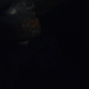 Meet your Posher, Lee