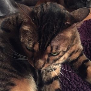 Meet your Posher, Kay