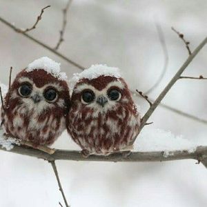 Meet your Posher, Luke