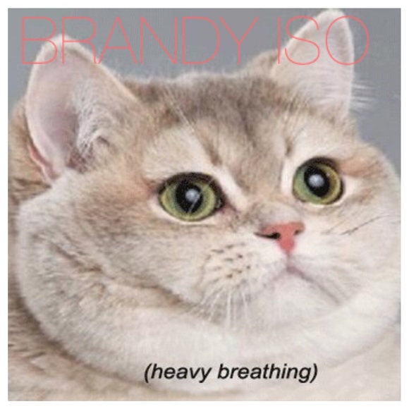 BRANDY ISO 2/11