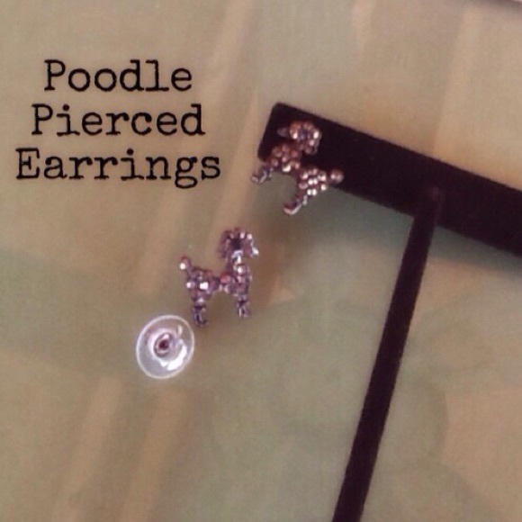 ⭐️HP⭐️ For the Pet Lover! - Picture 2 of 3