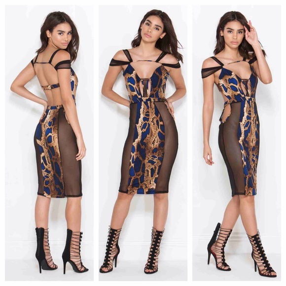 NEVER WORN Snake print sheer bodycon