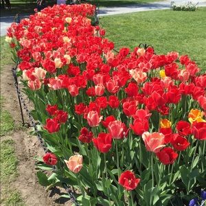 Meet your Posher, Kristen