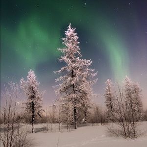 Meet your Posher, Cary