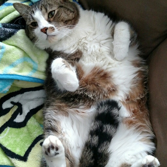 Meet your Posher, Becky - Picture 1 of 1