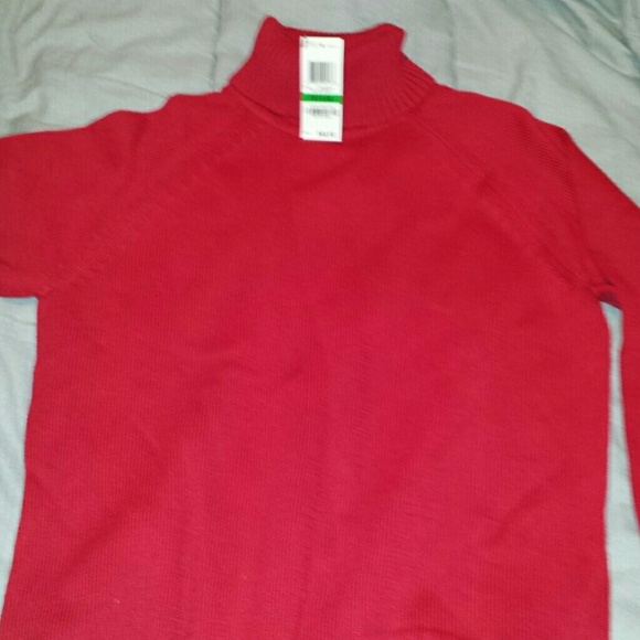 Ladies turtleneck sweater