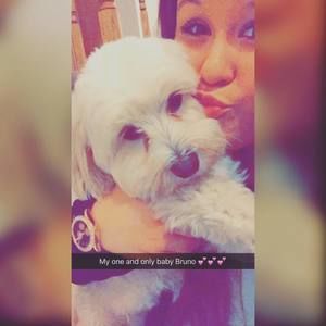 Meet your Posher, Cris