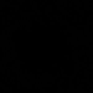 Meet your Posher, Lindsay