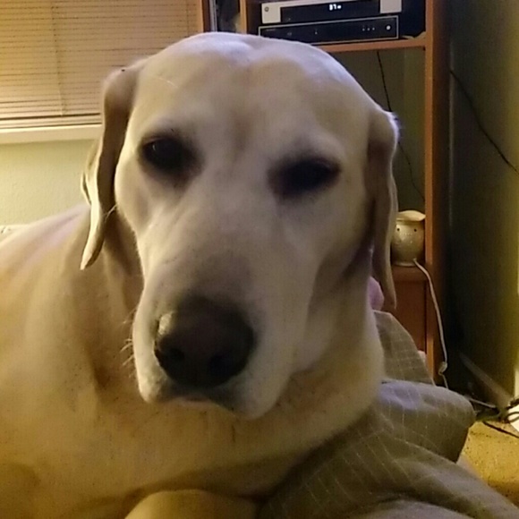 Meet your Posher, Serena