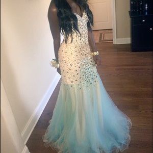 Sparkly Mermaid Formal Dress (Terani Couture)