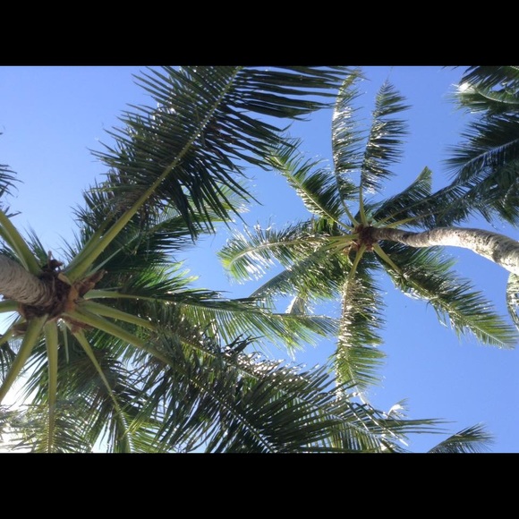 Meet your Posher, Raena