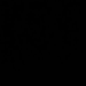 Meet your Posher, Brendan