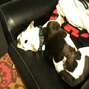 Meet your Posher, Chelle