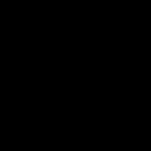 Meet your Posher, Annette