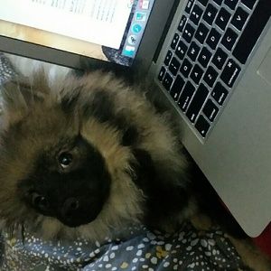 Meet your Posher, Ariel