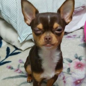 Meet your Posher, Lena